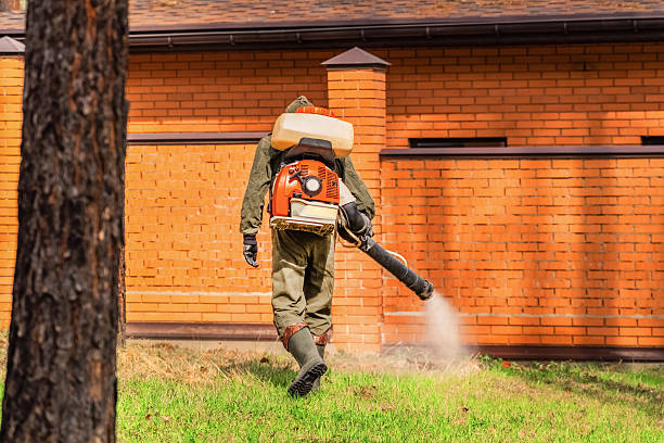 Bed Bug Clearance Verification and Documentation in Robert Lee